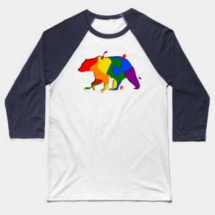 Pride Color Patches Bear Baseball T-Shirt